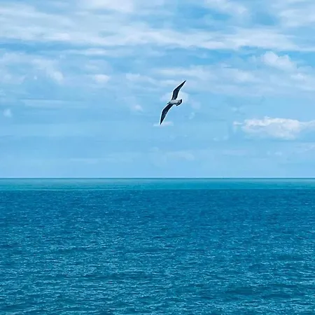 Attico Апартаменти